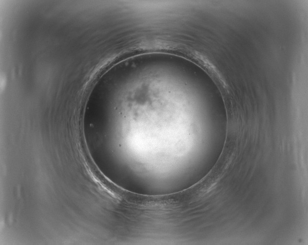 X0000064730625200602101150