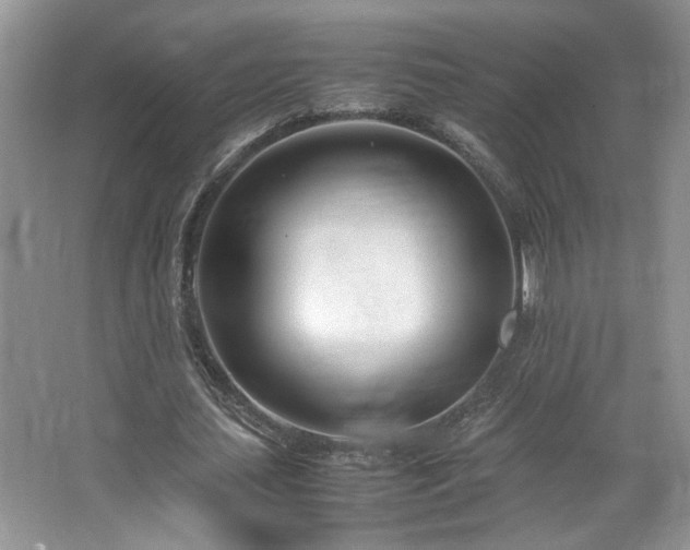 X0000064730627200602101150