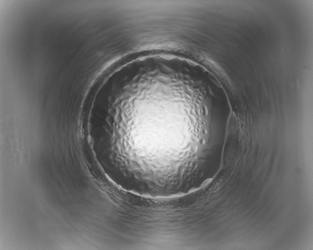 X0000064730628200602101150