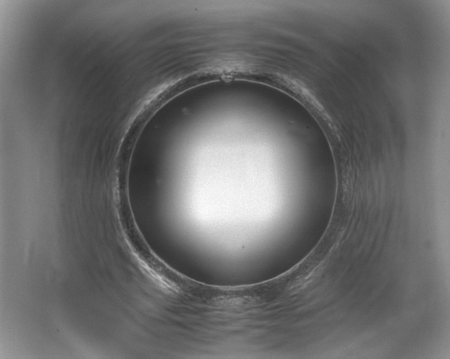 X0000064730629200602101150