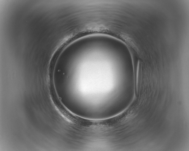 X0000064730630200602101151