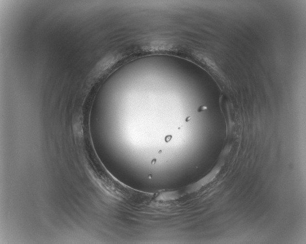 X0000064730631200602101151