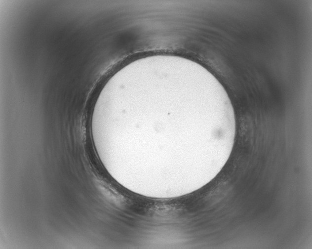 X0000064730632200602101151