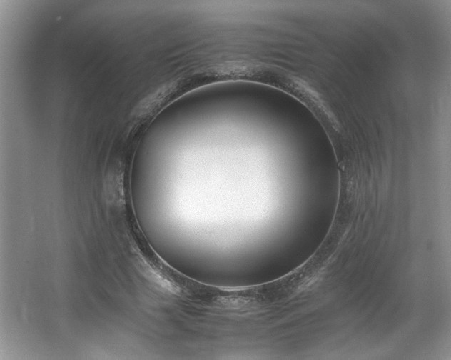 X0000064730633200602101151