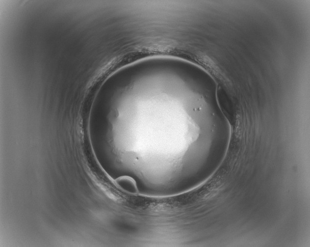 X0000064730634200602101151