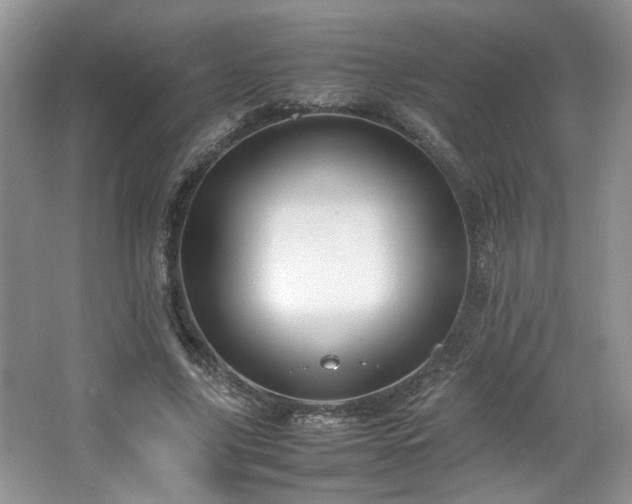 X0000064730635200602101151