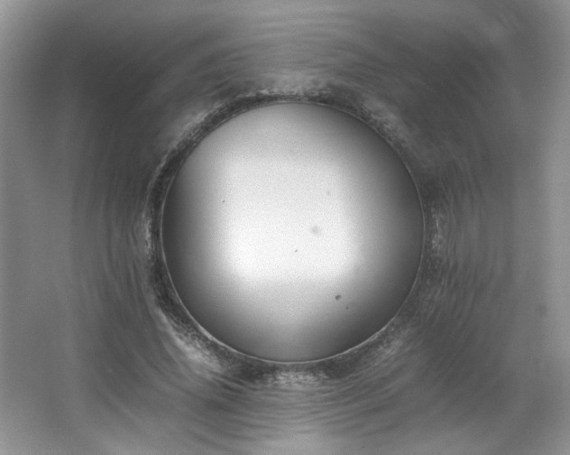 X0000064730636200602101151