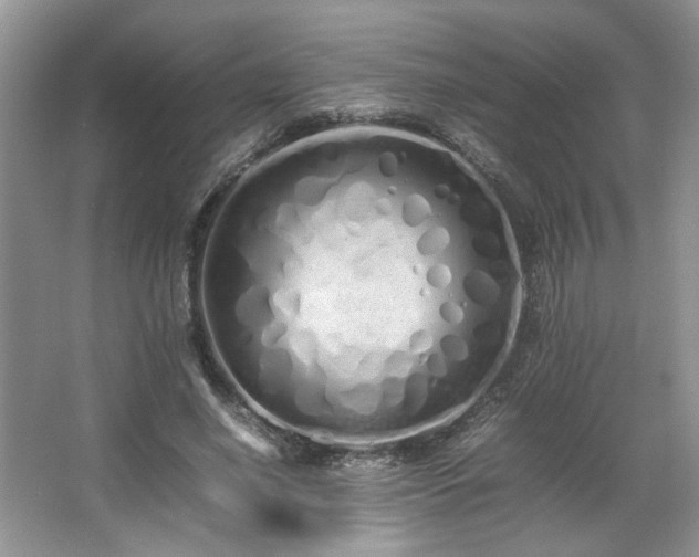 X0000064730638200602101151