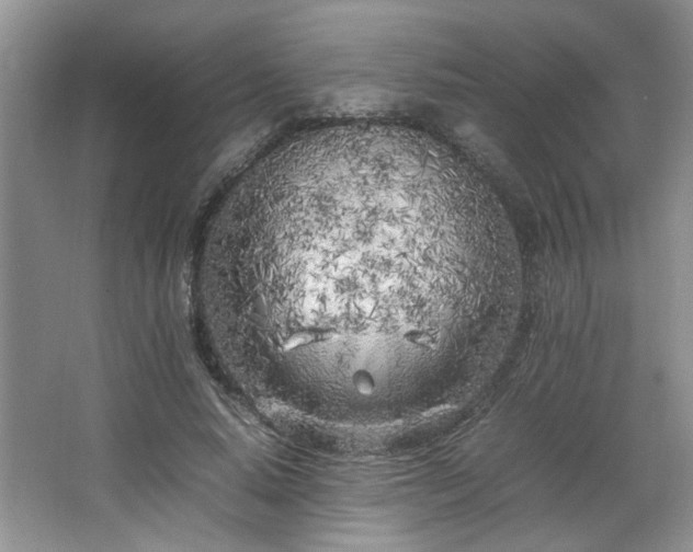 X0000064730640200602101151