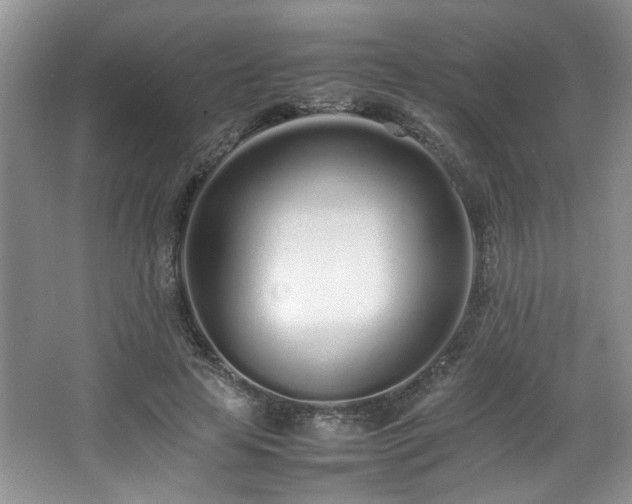 X0000064730641200602101151