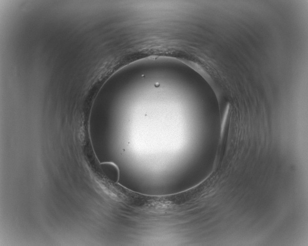 X0000064730642200602101151