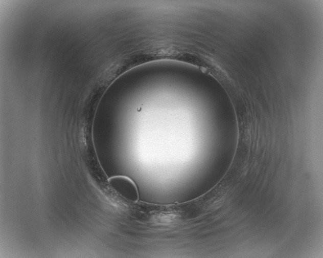 X0000064730643200602101151