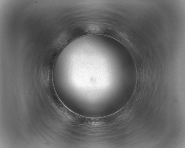 X0000064730645200602101151