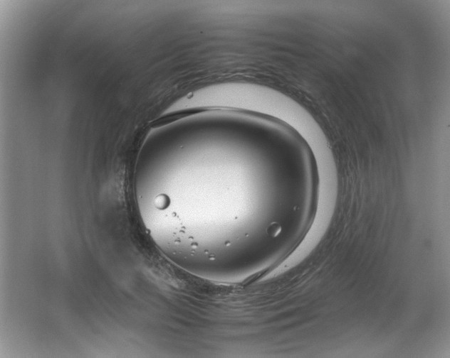 X0000064730647200602101151