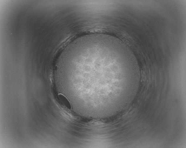 X0000064730648200602101151