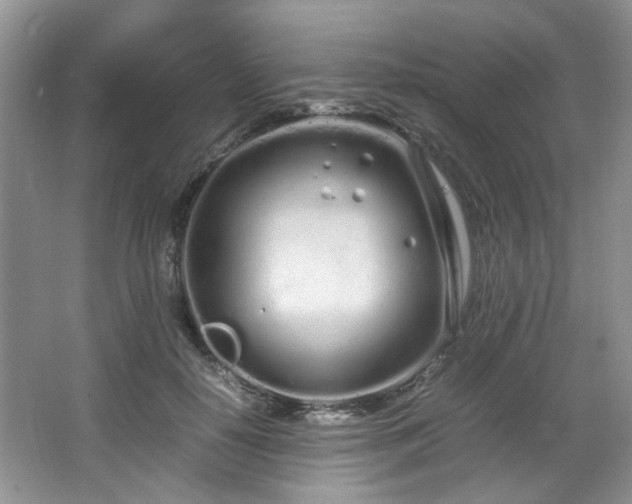 X0000064730650200602101151