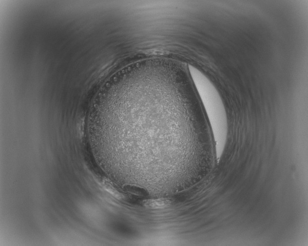 X0000064730652200602101151