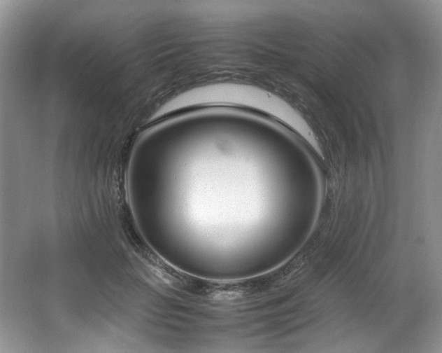 X0000064730653200602101151