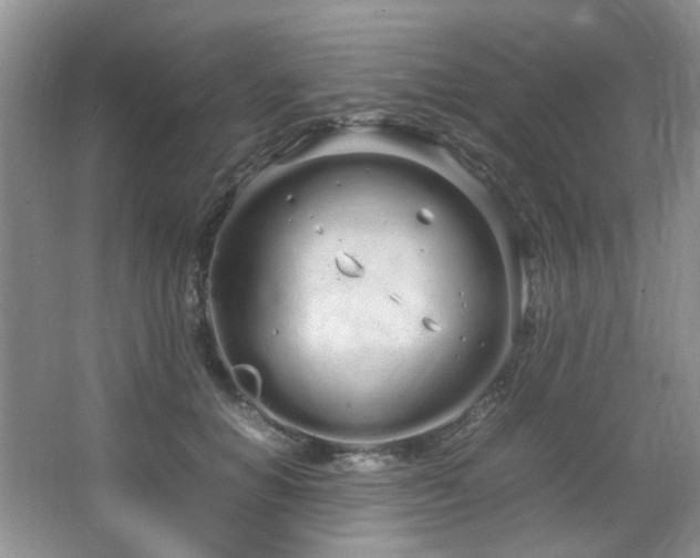 X0000064730654200602101151