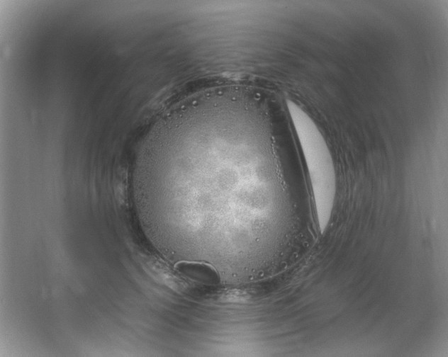 X0000064730656200602101151