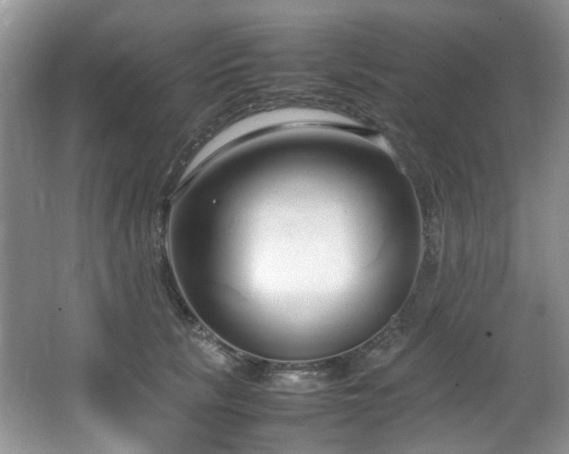 X0000064730657200602101151