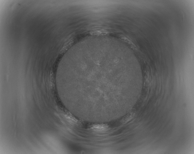 X0000064730659200602101151