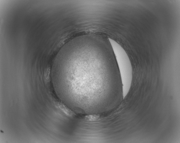 X0000064730660200602101151