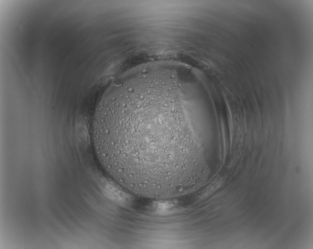 X0000064730662200602101151