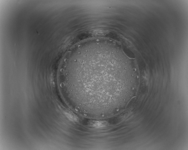 X0000064730663200602101151