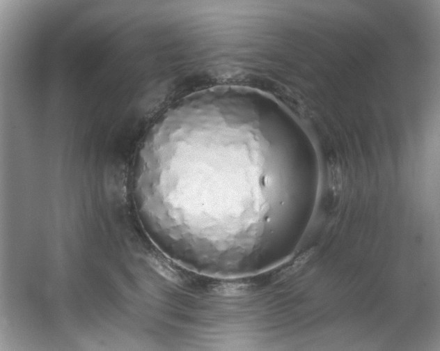 X0000064730664200602101151