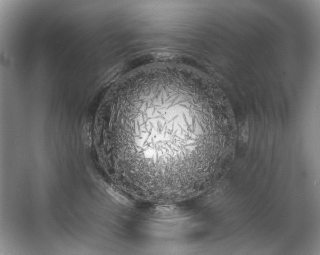 X0000064730666200602101151