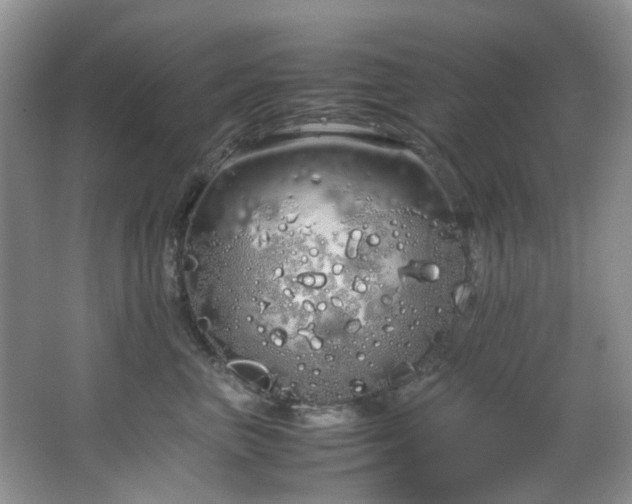 X0000064730667200602101151