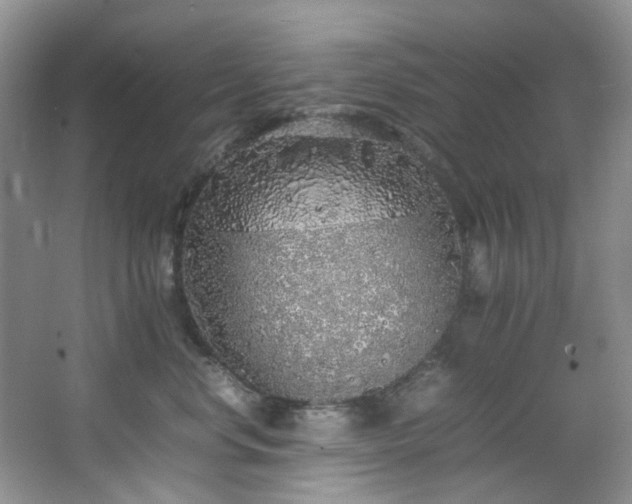 X0000064730668200602101151