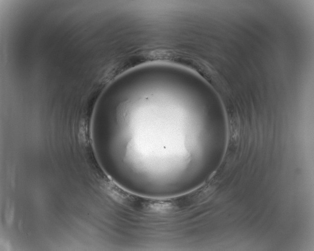 X0000064730669200602101151