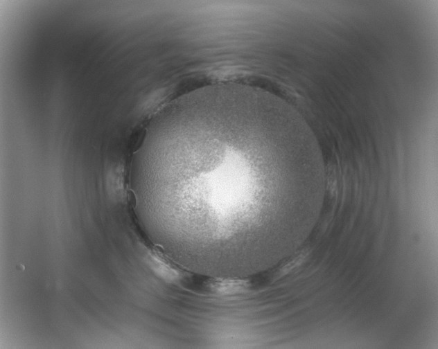 X0000064730670200602101151