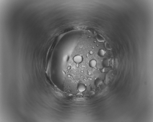 X0000064730671200602101151