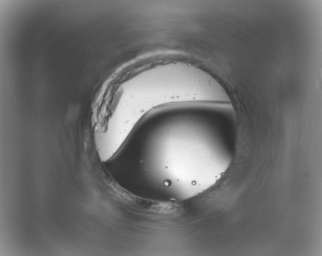 X0000064730672200602101151