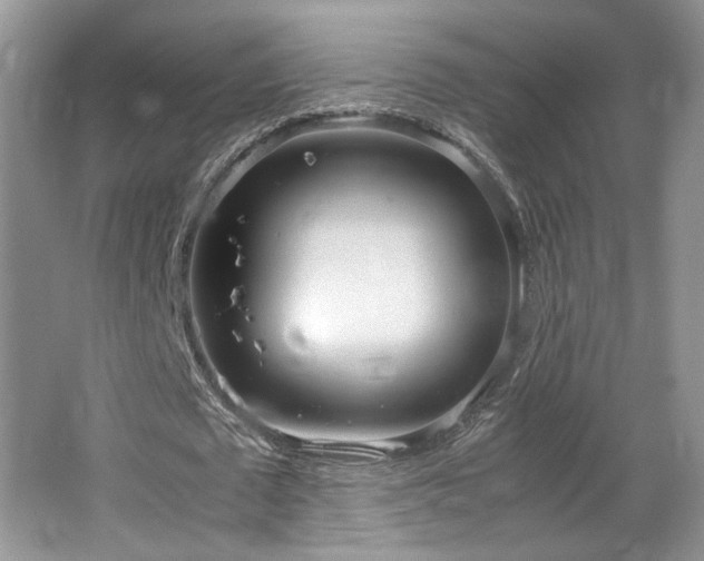 X0000064730673200602101150