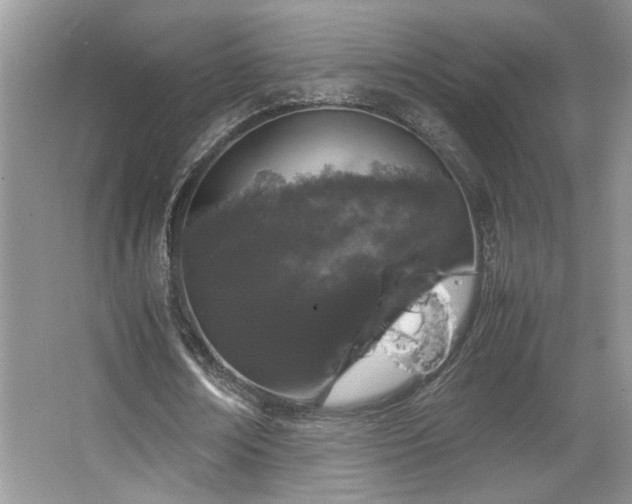 X0000064730674200602101150