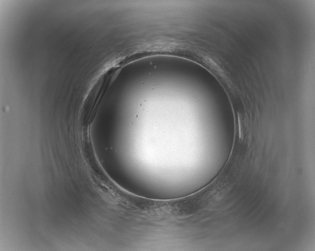 X0000064730675200602101150