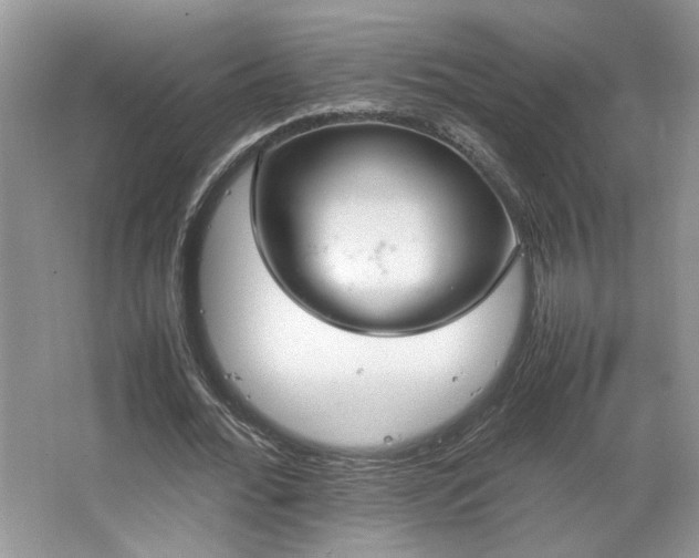 X0000064730676200602101150