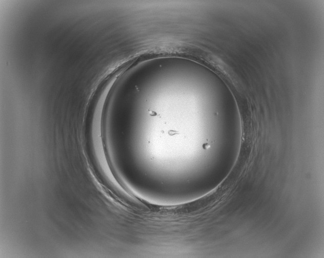 X0000064730677200602101150