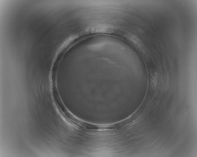 X0000064730678200602101150