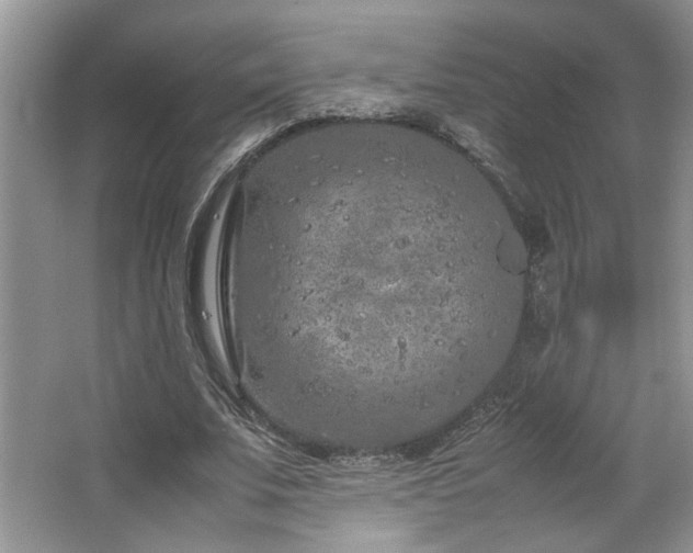 X0000064730679200602101150