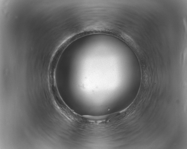 X0000064730680200602101150