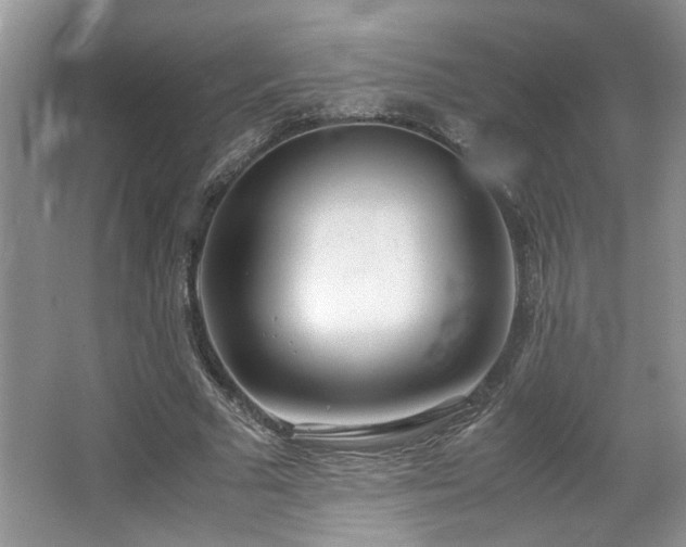 X0000064730681200602101150