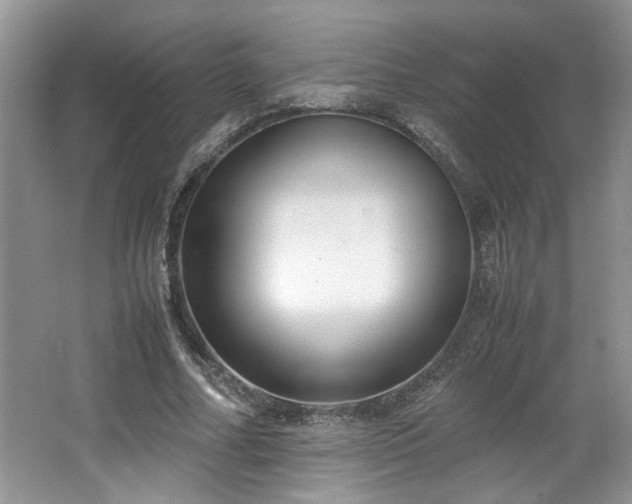 X0000064730682200602101150