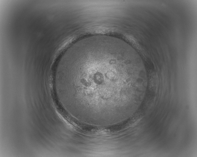 X0000064730683200602101150