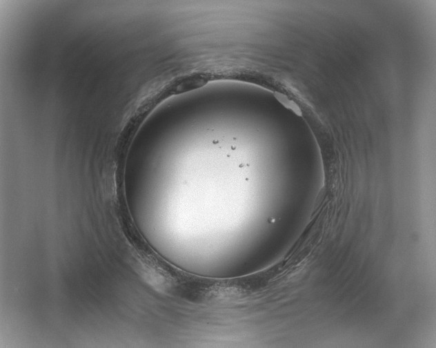 X0000064730685200602101150