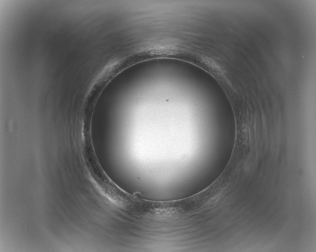 X0000064730686200602101150